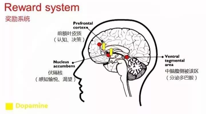 微信图片_20211221141508.jpg